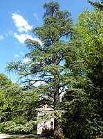 azay le rideau_35.JPG